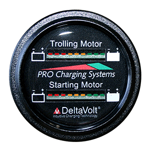 DUAL PRO BFG MARINE DUAL READ BATTERY MONITOR 12V SYSTEMS